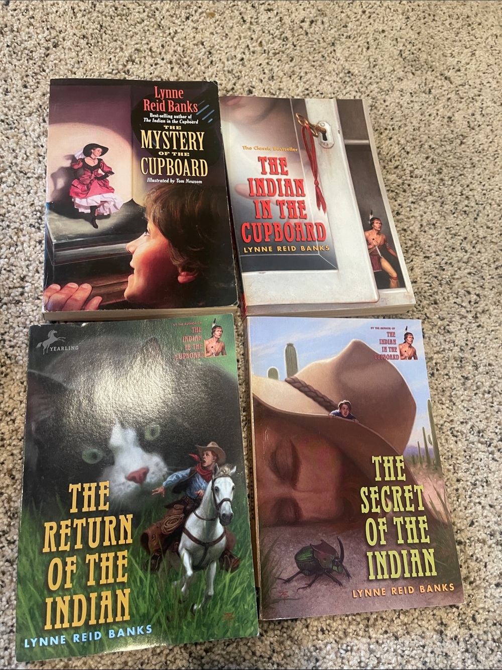 Kids Book Set - The Indian Series - Multicolor